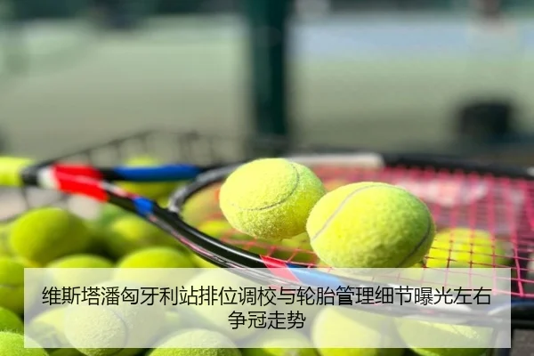维斯塔潘匈牙利站排位调校与轮胎管理细节曝光左右争冠走势