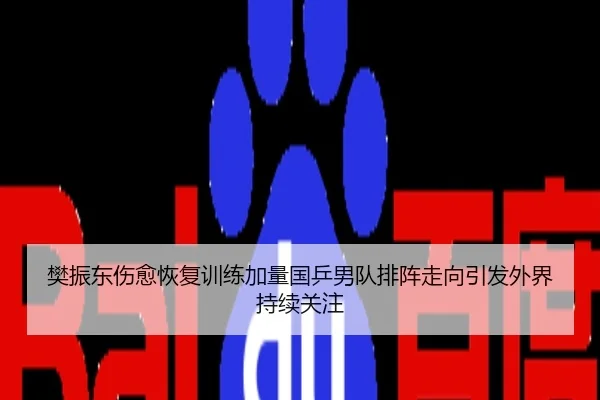 樊振东伤愈恢复训练加量国乒男队排阵走向引发外界持续关注
