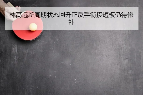 林高远新周期状态回升正反手衔接短板仍待修补